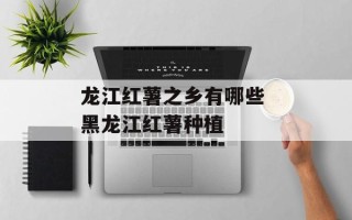 龙江红薯之乡有哪些 黑龙江红薯种植