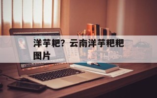 洋芋耙？云南洋芋粑粑图片