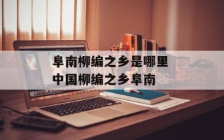 阜南柳编之乡是哪里 中国柳编之乡阜南