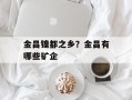 金昌镍都之乡？金昌有哪些矿企