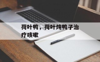 荷叶鸭，荷叶炖鸭子治疗咳嗽
