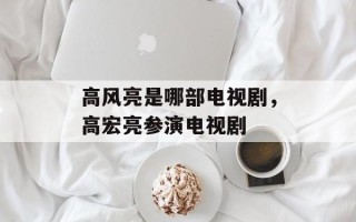 高风亮是哪部电视剧，高宏亮参演电视剧