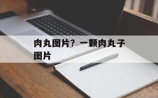肉丸图片？一颗肉丸子图片