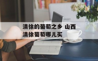 清徐的葡萄之乡 山西清徐葡萄哪儿买
