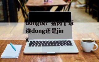 dong饭？猪肉丼饭读dong还是jing