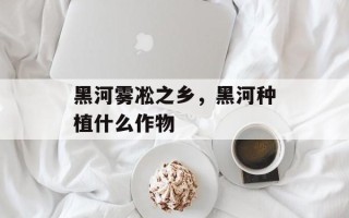 黑河雾凇之乡，黑河种植什么作物