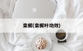 栾樨(栾樨叶功效)