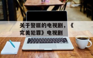 关于警匪的电视剧，《完美犯罪》电视剧