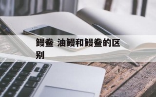 鳗鲞 油鳗和鳗鲞的区别