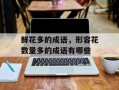 鲜花多的成语，形容花数量多的成语有哪些