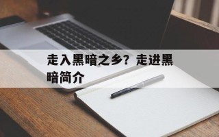 走入黑暗之乡？走进黑暗简介