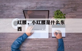 红腰，小红腰是什么东西