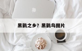 黑鹳之乡？黑鹳鸟图片