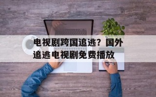 电视剧跨国追逃？国外追逃电视剧免费播放