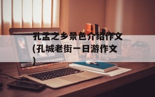 孔孟之乡景色介绍作文(孔城老街一日游作文)