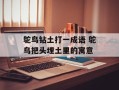 鸵鸟钻土打一成语 鸵鸟把头埋土里的寓意
