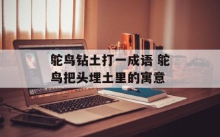 鸵鸟钻土打一成语 鸵鸟把头埋土里的寓意
