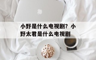 小野是什么电视剧？小野太君是什么电视剧