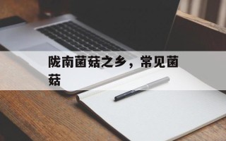 陇南菌菇之乡，常见菌菇
