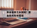 萧县葡萄之乡视频？萧县阳光玫瑰葡萄