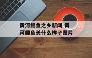 黄河鲤鱼之乡新闻 黄河鲤鱼长什么样子图片