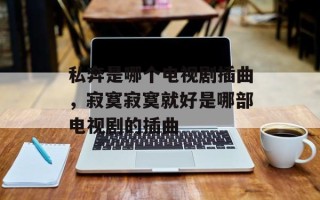 私奔是哪个电视剧插曲，寂寞寂寞就好是哪部电视剧的插曲