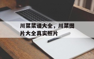 川菜菜谱大全，川菜图片大全真实照片