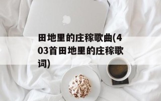田地里的庄稼歌曲(403首田地里的庄稼歌词)