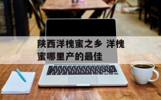 陕西洋槐蜜之乡 洋槐蜜哪里产的最佳