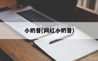 小奶昔(网红小奶昔)