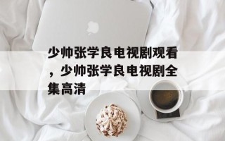 少帅张学良电视剧观看，少帅张学良电视剧全集高清