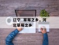 辽宁  草莓之乡，河北草莓之乡