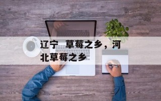 辽宁  草莓之乡，河北草莓之乡