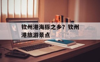 钦州港海豚之乡？钦州港旅游景点