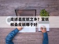 走进桑皮纸之乡？宣纸和桑皮纸哪个好