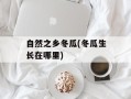 自然之乡冬瓜(冬瓜生长在哪里)