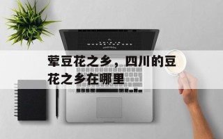 荤豆花之乡，四川的豆花之乡在哪里