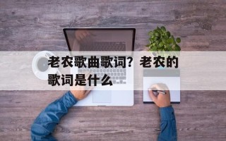 老农歌曲歌词？老农的歌词是什么