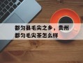 都匀县毛尖之乡，贵州都匀毛尖茶怎么样