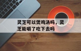 灵芝可以煲鸡汤吗，灵芝能嚼了吃下去吗