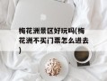 梅花洲景区好玩吗(梅花洲不买门票怎么进去)
