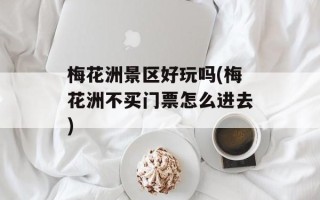 梅花洲景区好玩吗(梅花洲不买门票怎么进去)