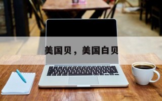 美国贝，美国白贝
