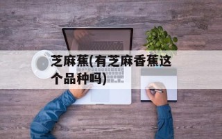 芝麻蕉(有芝麻香蕉这个品种吗)