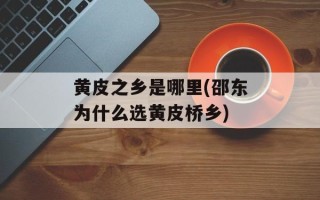黄皮之乡是哪里(邵东为什么选黄皮桥乡)