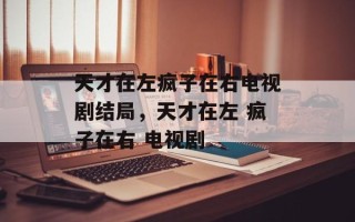 天才在左疯子在右电视剧结局，天才在左 疯子在右 电视剧