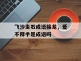 飞沙走石成语接龙，爱不释手是成语吗