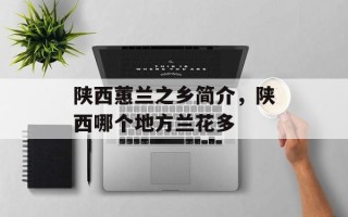 陕西蕙兰之乡简介，陕西哪个地方兰花多