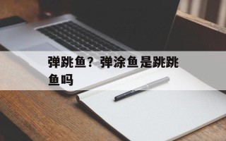 弹跳鱼？弹涂鱼是跳跳鱼吗