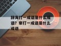 辞海打一成语是什么成语？窜打一成语是什么成语